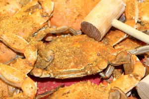 steamed crabs and mallet